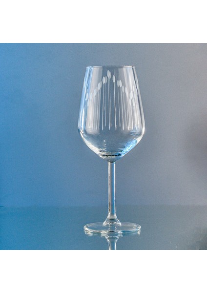 6 Adet Kazaan Kadeh Vega Desenli