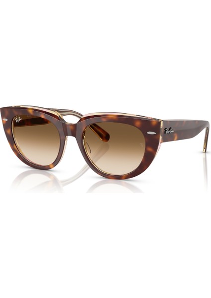 Rb 2286 141451 52 Ray-Ban Doreen Kadın Güneş Gözlüğü