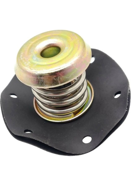 Chevy Camaro Pontiac 17110851 Için Basınç Regülatörü Diyaframı (Yurt Dışından)