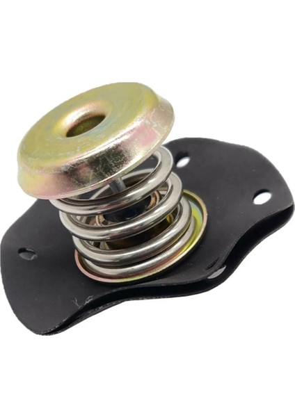 Chevy Camaro Pontiac 17110851 Için Basınç Regülatörü Diyaframı (Yurt Dışından)