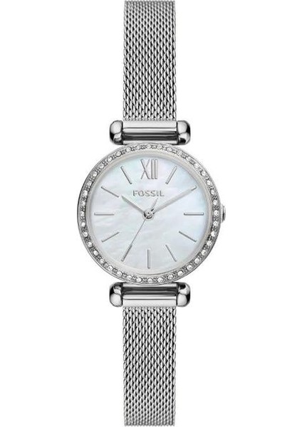 Fossıl FFS6066 Erkek Kol Saati