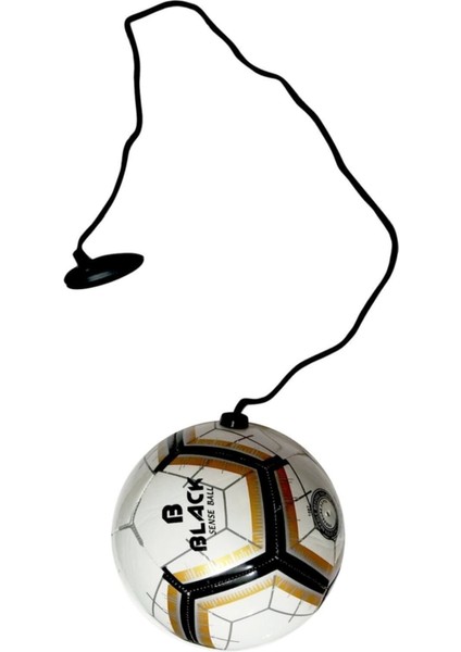 Senseball Antrenman Topu 1 No Gold