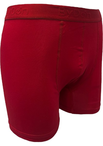 Yılbaşı Erkek Licralı Boxer