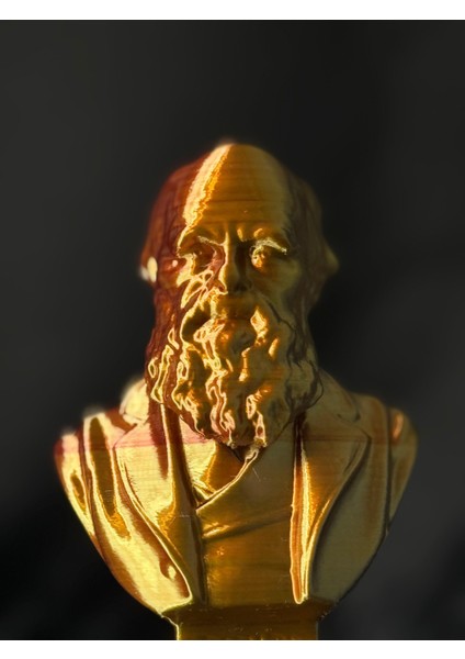 Hatıra - Charles Darwin Büstü - Biblo