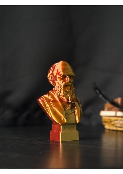 Hatıra - Charles Darwin Büstü - Biblo