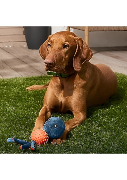 Ahtapot Şeklinde Köpek Oyuncağı