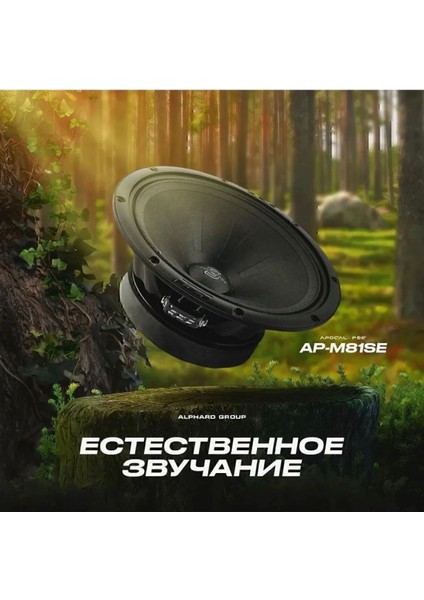 Deaf Bonce AP-M81SE Sylvester 20 cm 340W 170RMS Midrange Iki Adett fiyatları