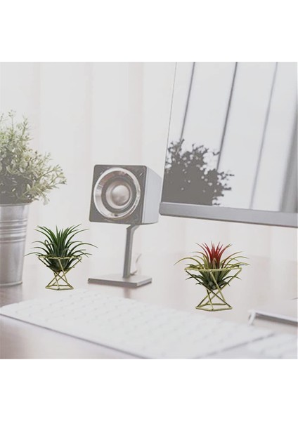 9 Adet Geometrik Hava Tesisi Tutucu Airplants Raf Metal Bitkiler Standı Ekici Raflar Himmeli Dekor Tillandsia Konteynerler (Yurt Dışından)