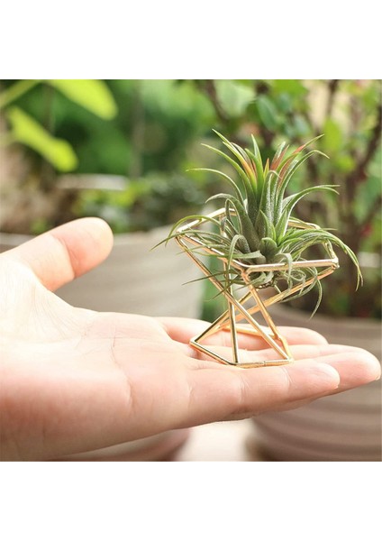 9 Adet Geometrik Hava Tesisi Tutucu Airplants Raf Metal Bitkiler Standı Ekici Raflar Himmeli Dekor Tillandsia Konteynerler (Yurt Dışından)