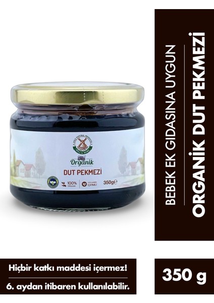 Organik Dut Pekmezi 350 G +6 Ay