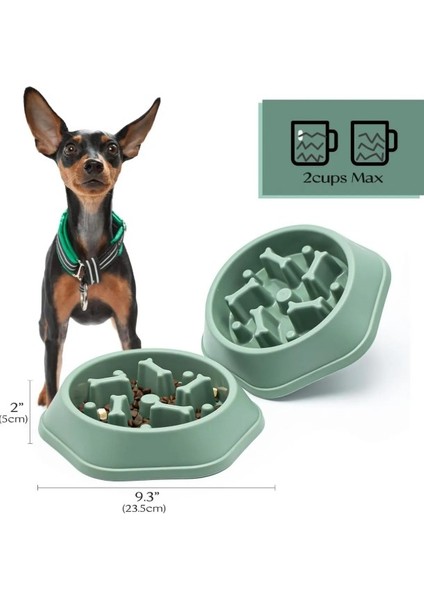 Yavaş Yeme Mama Kabı modelleri