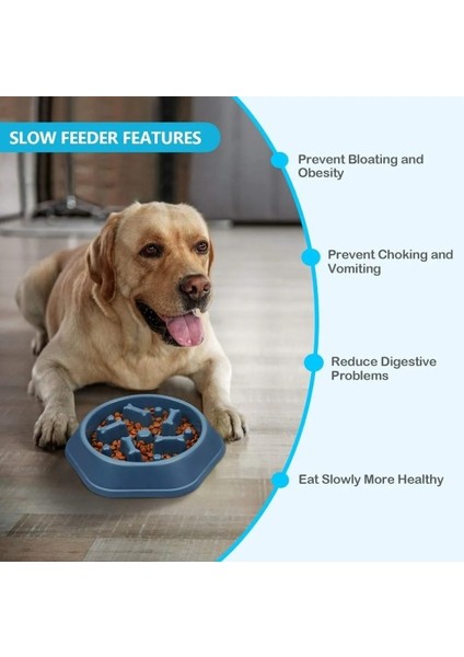 Yavaş Yeme Mama Kabı fırsatları