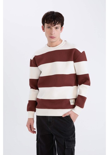 Boxy Fit Bisiklet Yaka Çizgili Dokuma Etiketli Sweatshirt A9066AX24AU