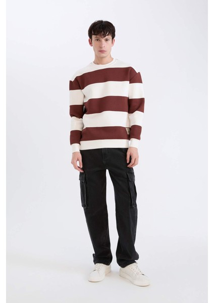 Boxy Fit Bisiklet Yaka Çizgili Dokuma Etiketli Sweatshirt A9066AX24AU fiyatları