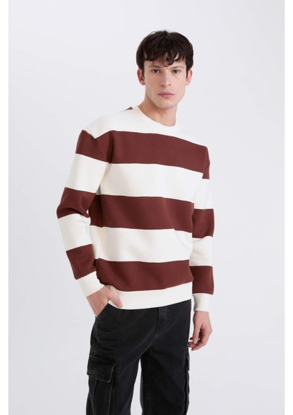 Boxy Fit Bisiklet Yaka Çizgili Dokuma Etiketli Sweatshirt A9066AX24AU modelleri