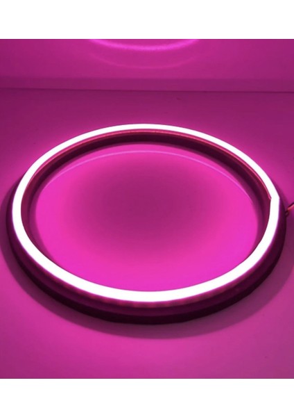 16 cm Neon LED Midrange Kasnağı Mor (1 Çift)
