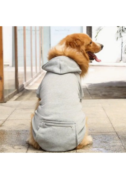 Büyük Irk Köpekler Için Sweatshirt