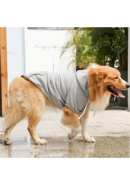 Büyük Irk Köpekler Için Sweatshirt