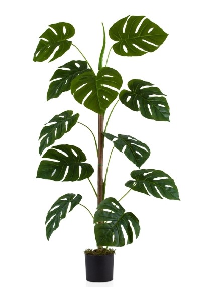 SIYAH-SAKSIDA-11-DAL-YAPAY-MONSTERA-AGACI-105- cm