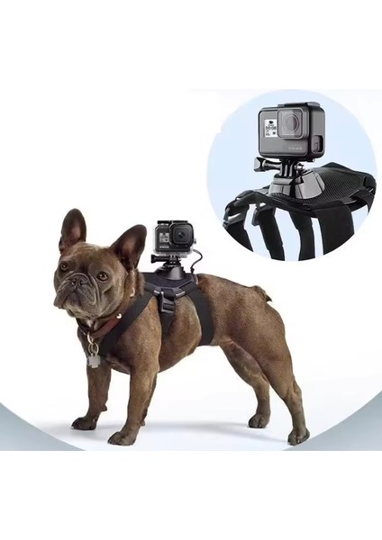 / Gopro Pet Mount