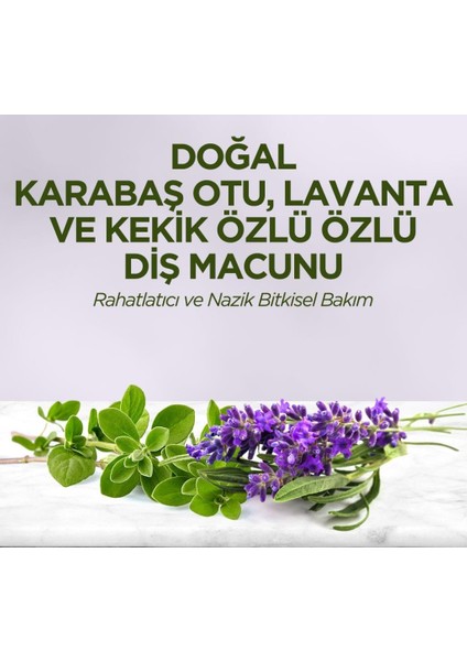 Doğal Diş Macunu 90 gr Karabaş Otu & Lavanta ve Kekik Özlü