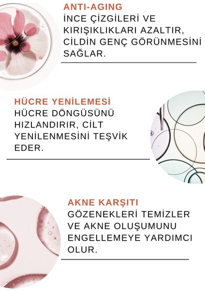 ReBorn Solution Yaşlanma, Karşıtı, Onarıcı Retinol (A Vitamini) Gece Serumu 30 ml (1% Retinol + B5)
