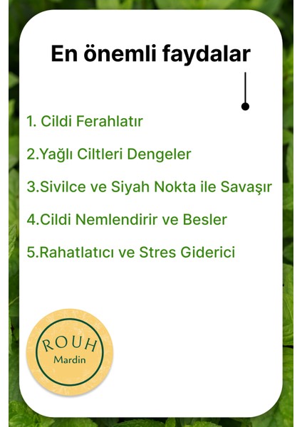 El Yapımı Doğal Bitkisel Nane Sabunu 160 gr