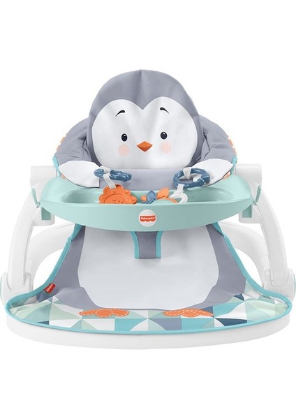 Fisher Price Tepsili Penguen Adası Ana Kucağı HBF27