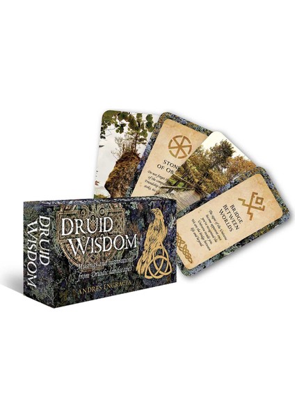 Druid Wisdom (Kapak Resmi Değişebilir) - Andres Engracia