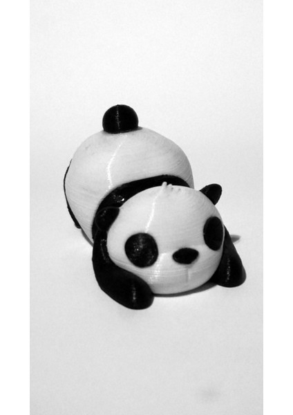 Uyuyan Panda