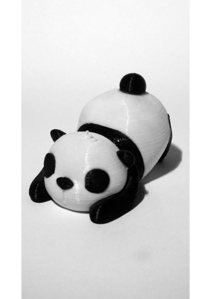 Uyuyan Panda