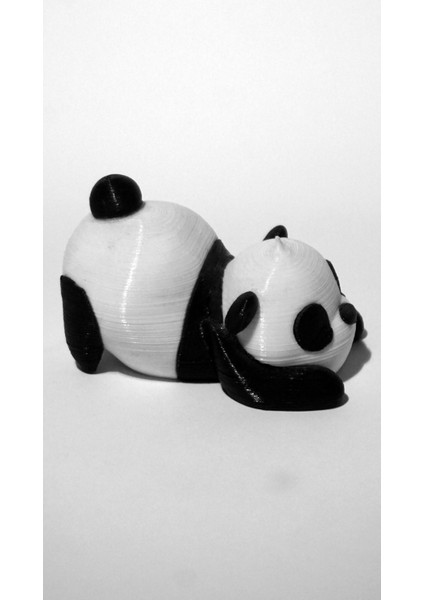 Uyuyan Panda