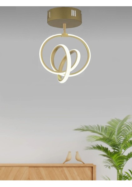 Modern Huracan Plafonyer Tavan LED Avize Oturma Odası Hol Antre Mutfak Salon LED Avize Eskitme Gold