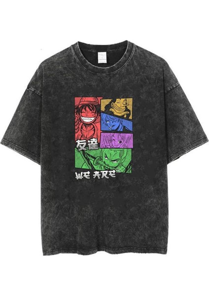 Yıkamalı One Piece Eskitme T-Shirt