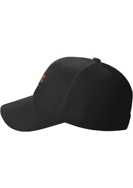 Ac/dc Şapka