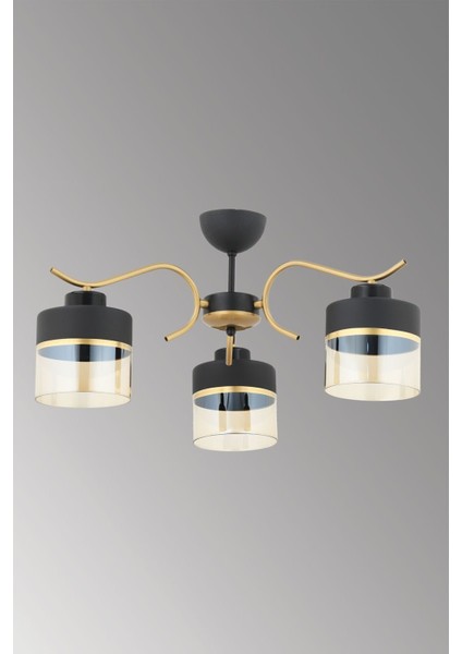 Sinem 3 Lü Modern Plf (Siyah Eskitme) Bal Camlı Salon Mutfak Yatak Odası Genç Odası Avize modelleri