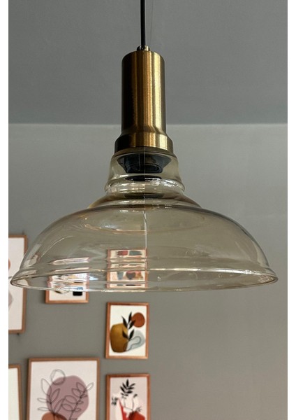 Vishi Cam Bal Rengi Tekli Avize Eskitme Başlık Retro Sarkıt Lamba Restoran Salon Aydınlatma