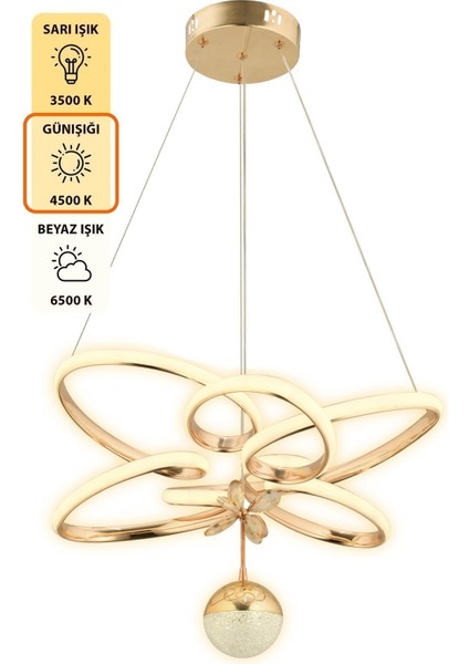 Feli x Kumandalı 3 Renk Işık Özellikli Modern Gold Kaplama Sarkıt LED Avize Salon Avize