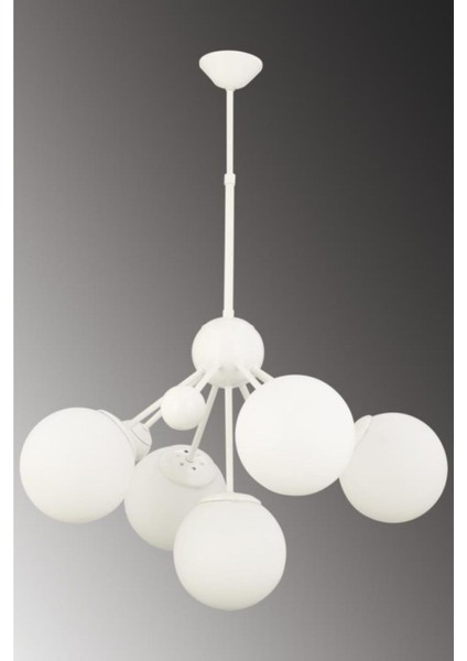 Larin 5'li Beyaz Beyaz Glop Camlı Avize fiyatları