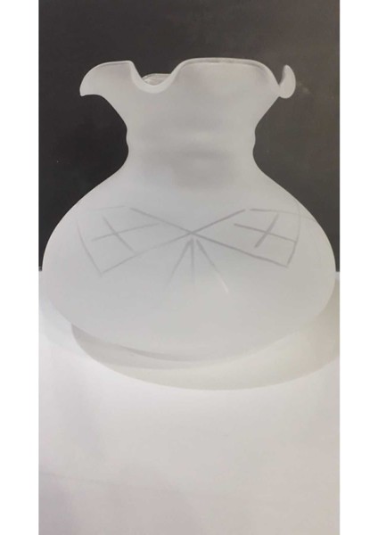Alaaddin Avize Lamba Camı (Boyu :14 cm ,ÇAPI:11 cm )