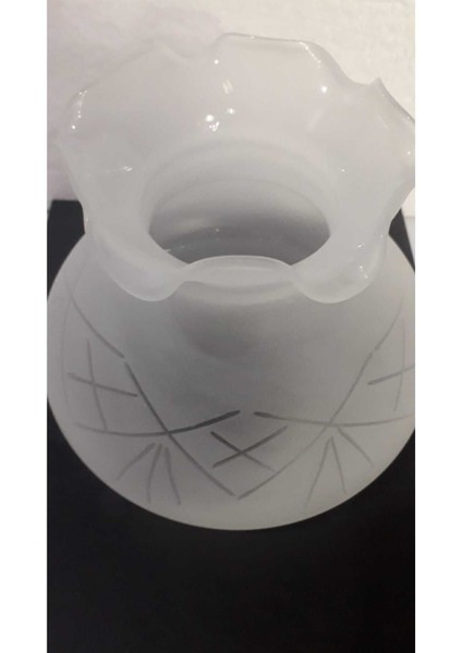 Alaaddin Avize Lamba Camı (Boyu :14 cm ,ÇAPI:11 cm ) modelleri