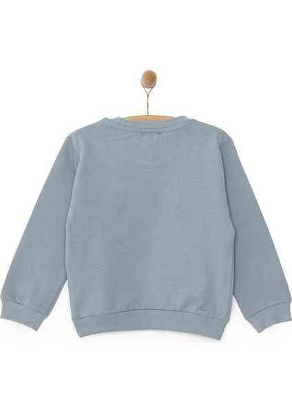 Basic Az Şardonlu Kutup Ayısı Desenli Sweatshirt Erkek Bebek fiyatları