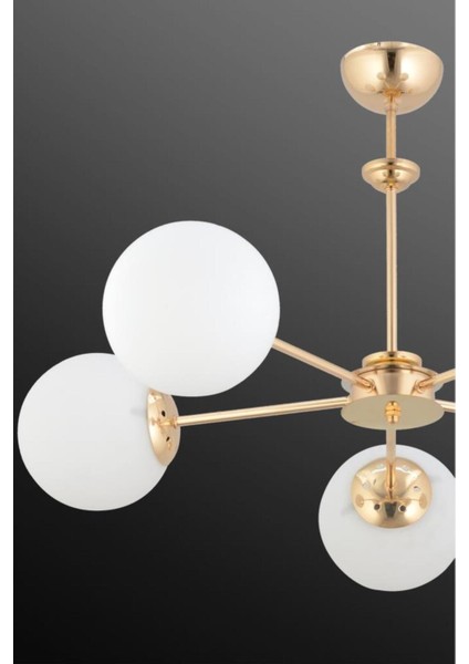 Nisa 5'li Gold Beyaz Glop Camlı Avize