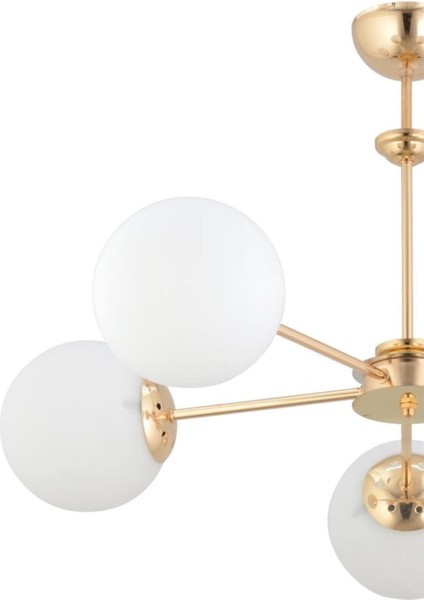 Nisa 5'li Gold Beyaz Glop Camlı Avize