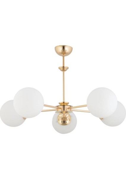 Nisa 5'li Gold Beyaz Glop Camlı Avize