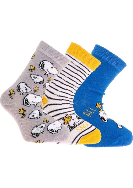 Snoopy 3lü Soket Çorap Erkek Bebek