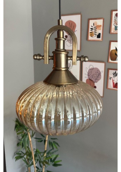 Elegant Cam Tekli Bal Rengi Avize Eskitme Gemici Başlık Sarkıt Lamba Restoran Salon Aydınlatma modelleri