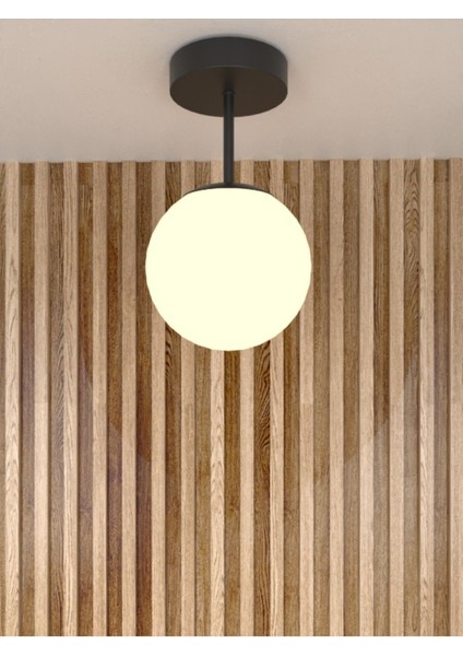 Siyah Tekli Modern Tasarım Camlı Avize Antre / Hol 30 Modern 1 Metal E27 20 -34 cm