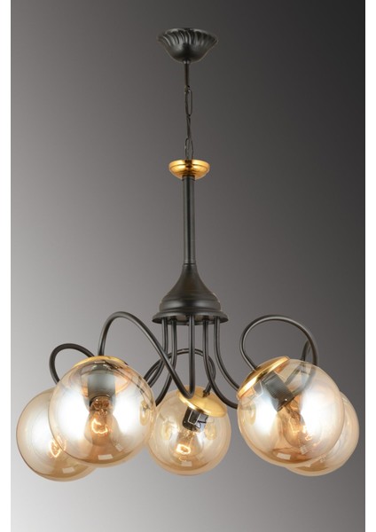 Kareyel Siyah 5'li Bal Glop Camlı Aşağı Bakan Modern Lüks Avize fiyatları