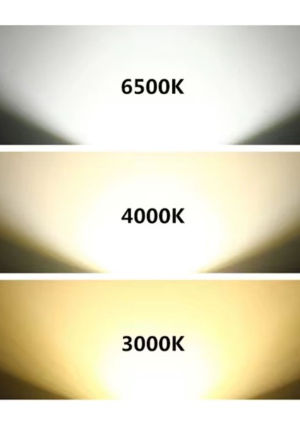 Ahtapot Krom 4 Toplu 3 Renk LED